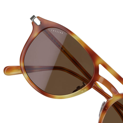 Belize Coast Tortoiseshell