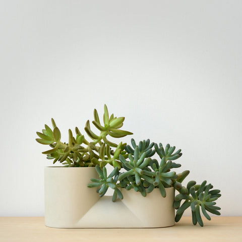 Double Planter