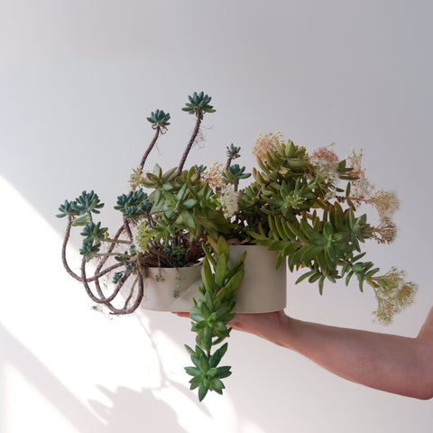 Double Planter
