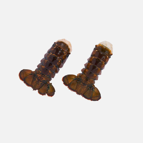 Wild Seafood Stock Up Bundle