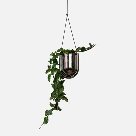 Portico Planter - Chrome