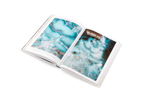 The Nature of Swimming