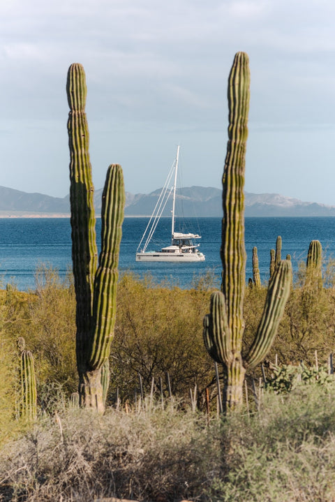 Sailing the Seas Vol. 2